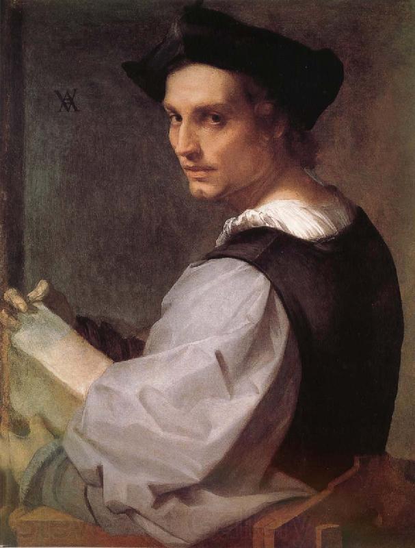 Andrea del Sarto Portrait of man Spain oil painting art